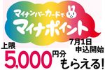 マイナポイントの正しい攻略方法はこれ！今から始めるなら紐付けはこのポイントに！