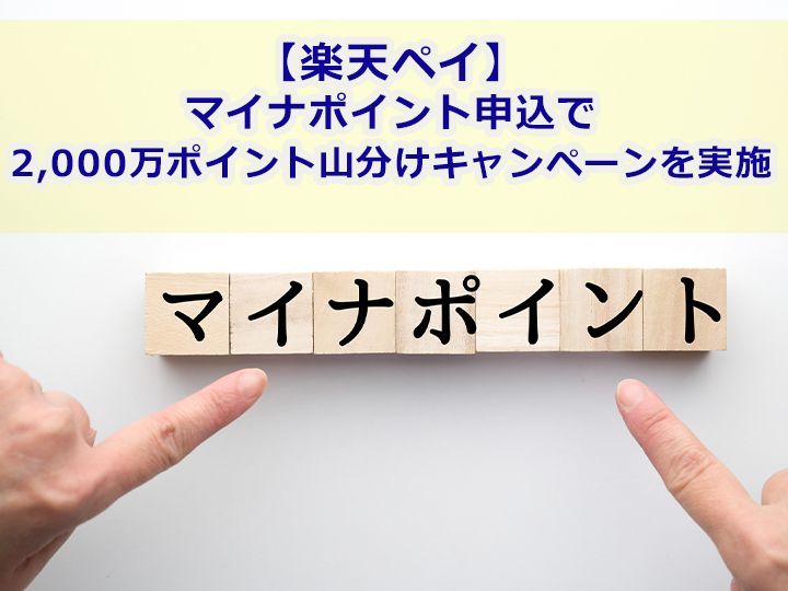 マイナポイントのブロックを指さす