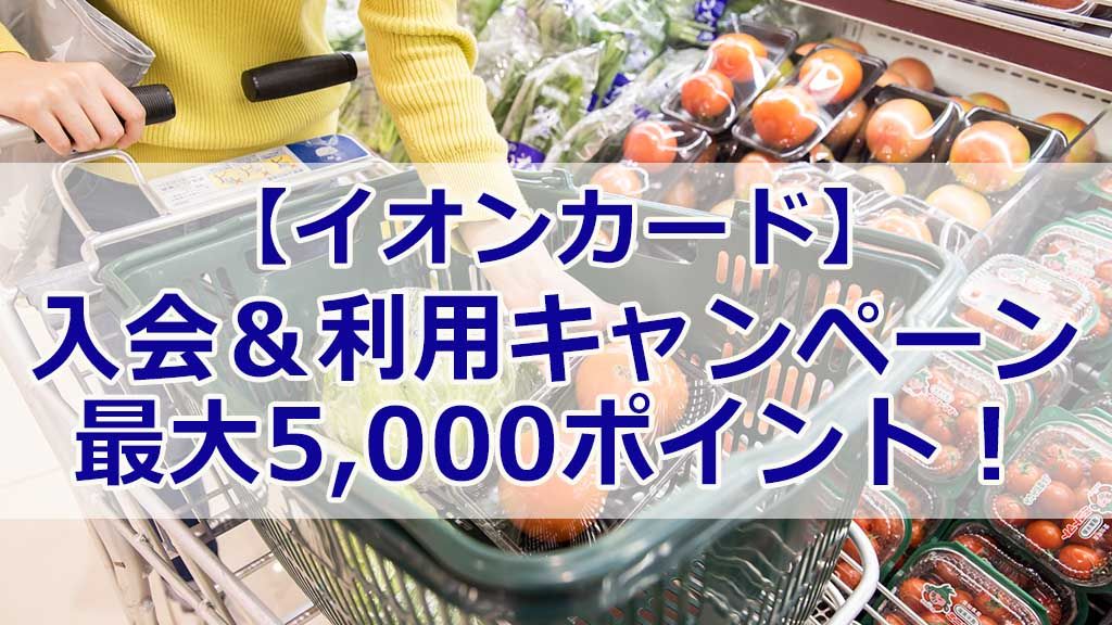 【イオンカード】 入会&利用キャンペーン 最大5,000ポイント!